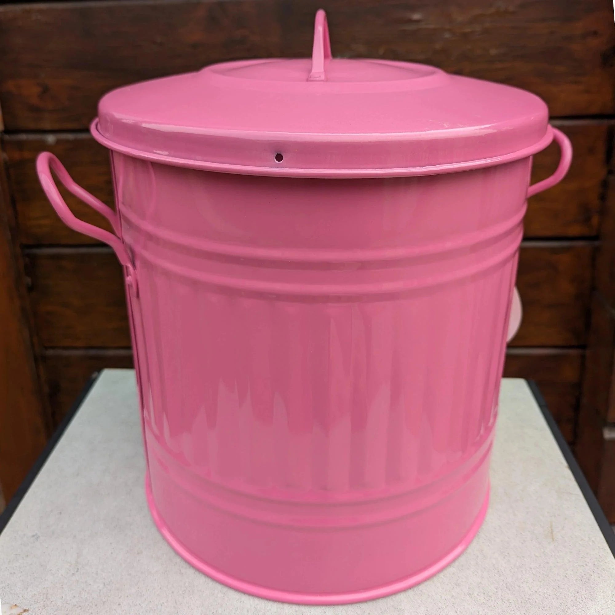 Electric Pink Ash Bin